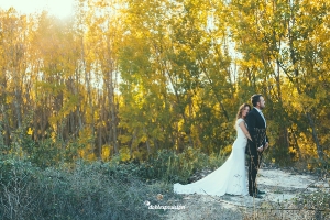 fotografos-boda-elche-alicante-reportaje-bosque-postboda-001